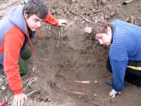 Осенняя Вахта памяти в Куйбышевском районе Ростовской области