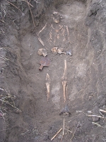 Осенняя Вахта памяти в Куйбышевском районе Ростовской области