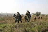 Реконструкция в Запорожье