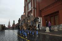 Всероссийская конференция