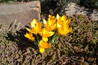 Урок мужества