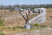 Саур-Могила