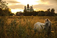 Старочеркасская