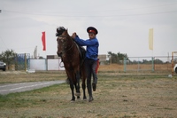 Молодежный Форум "Ростов 2014"