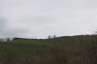 Военно-историческая реконструкция