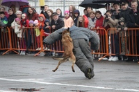 70-летие Великой Победы