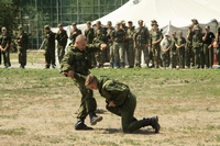 Предтеченский городок