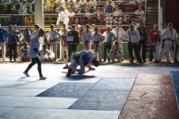 Чемпионат ДОСААФ России по Армейскому Рукопашному Бою