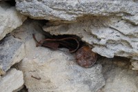 Конференция в г.Керчь