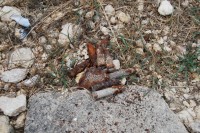 Конференция в г.Керчь