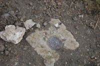 Конференция в г.Керчь