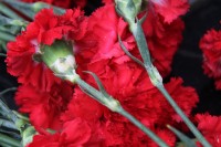 День войск специального назначения