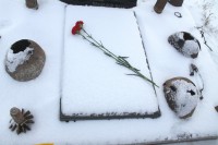 Тропа боевой славы