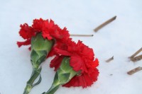 Тропа боевой славы