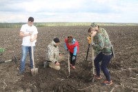 Областная поисковая вахта