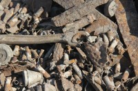 Областная поисковая вахта