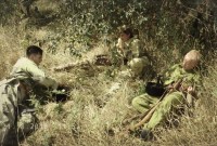 73-летие освобождения Ростовской области от немецко-фашистской оккупации