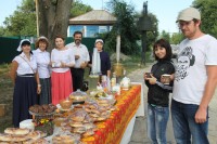 Праздник в честь Донской иконы Божией Матери