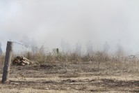 Крымский военно-исторический фестиваль