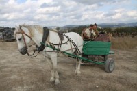 Крымский военно-исторический фестиваль