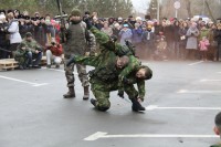 75-летие освобождения Ростова от немецко-фашистских захватчиков