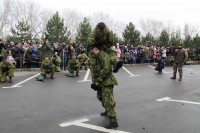 75-летие освобождения Ростова от немецко-фашистских захватчиков