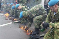 75-летие освобождения Ростова от немецко-фашистских захватчиков