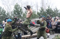 75-летие освобождения Ростова от немецко-фашистских захватчиков