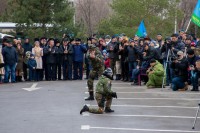 75-летие освобождения Ростова от немецко-фашистских захватчиков