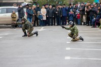 75-летие освобождения Ростова от немецко-фашистских захватчиков