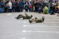 75-летие освобождения Ростова от немецко-фашистских захватчиков