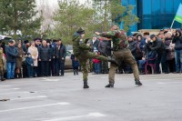 75-летие освобождения Ростова от немецко-фашистских захватчиков