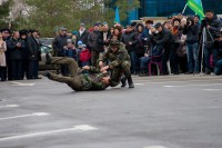 75-летие освобождения Ростова от немецко-фашистских захватчиков