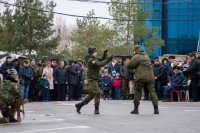 75-летие освобождения Ростова от немецко-фашистских захватчиков