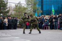 75-летие освобождения Ростова от немецко-фашистских захватчиков