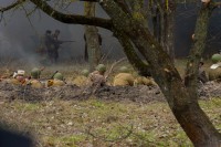 75-летие освобождения Ростова от немецко-фашистских захватчиков