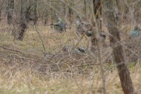 75-летие освобождения Ростова от немецко-фашистских захватчиков