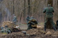 75-летие освобождения Ростова от немецко-фашистских захватчиков