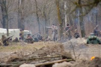 75-летие освобождения Ростова от немецко-фашистских захватчиков