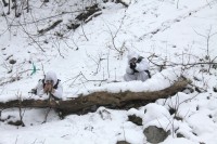 Юнармейское занятие