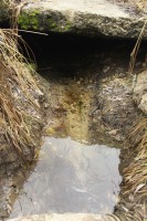 Военно-полевой выход