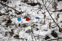 Военно-полевой выход