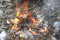 Военно-полевой выход