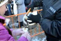 Память сквозь года