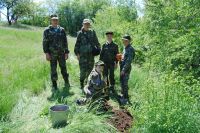 Полевой выход в балку Родниковую