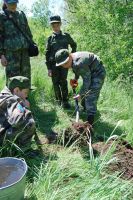 Полевой выход в балку Родниковую