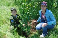 Полевой выход в балку Родниковую