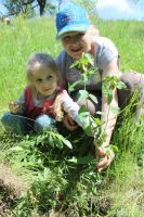 Полевой выход в балку Родниковую