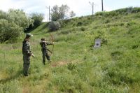 Полевой выход в балку Родниковую