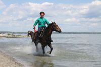 Военно-исторический фестиваль, посвященном событиям Крымской войны 1855 года
